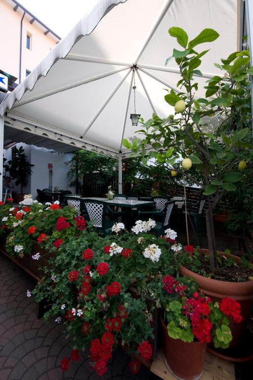 Hotel Stella Tole
